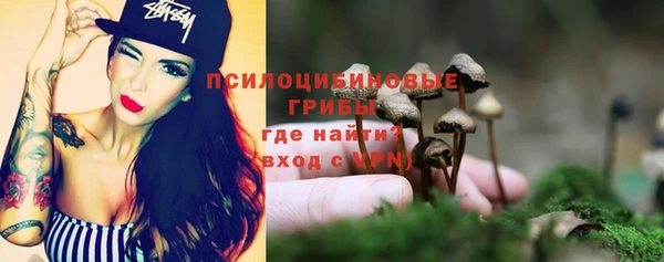 шишки Верхний Тагил