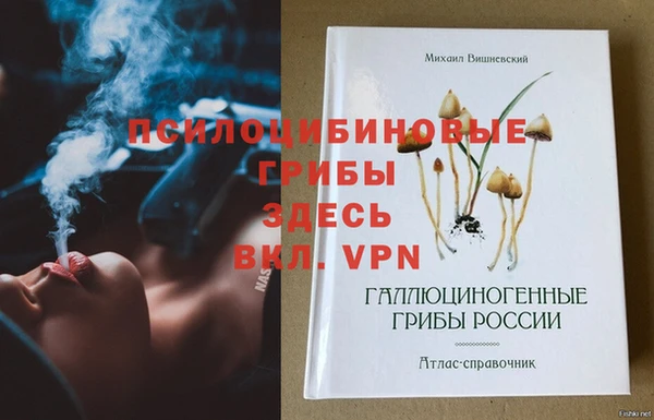 apvp Володарск