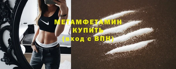 шишки Верхний Тагил