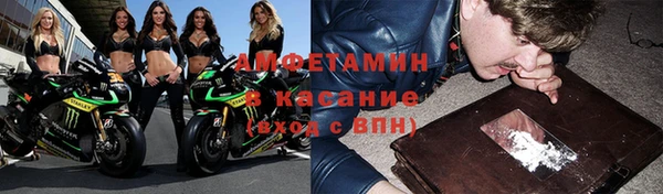 шишки Верхний Тагил