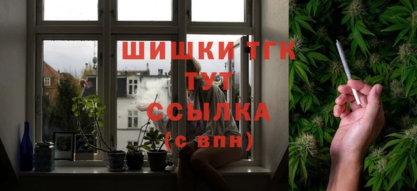 шишки Верхний Тагил