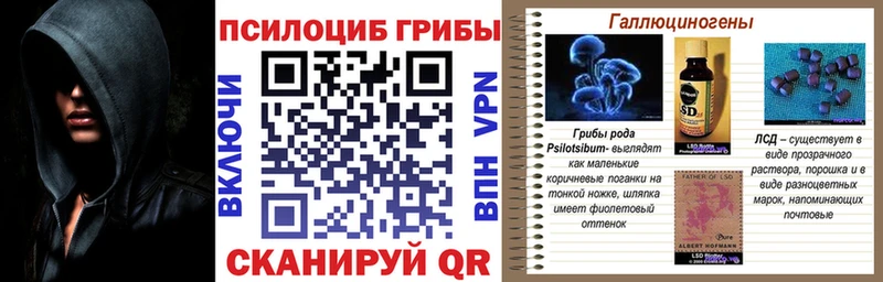 Галлюциногенные грибы мицелий  Королёв 
